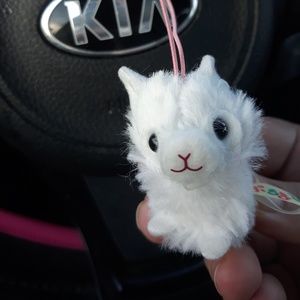 Meet your Posher, Maureen